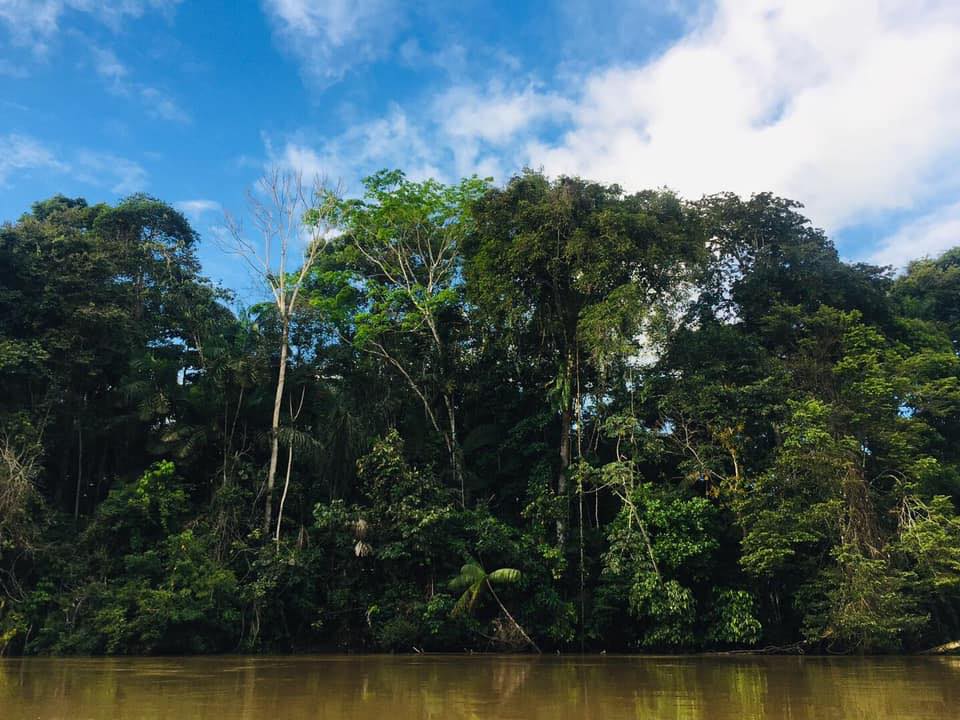 Yasuni National Park, een van de meest biodiverse plekken op aarde