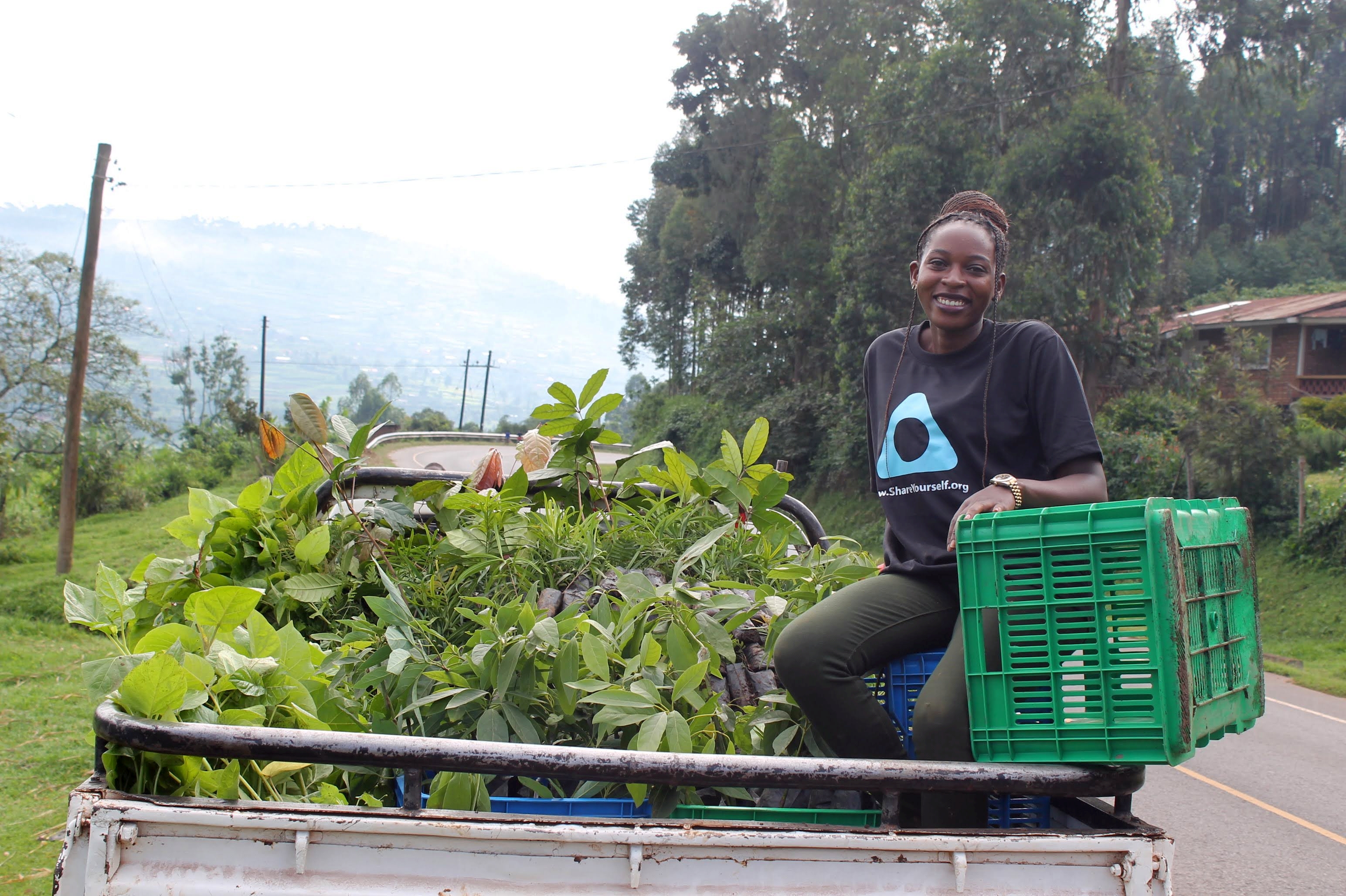 Asiimwe boven op een vrachtwagen met boomplantjes