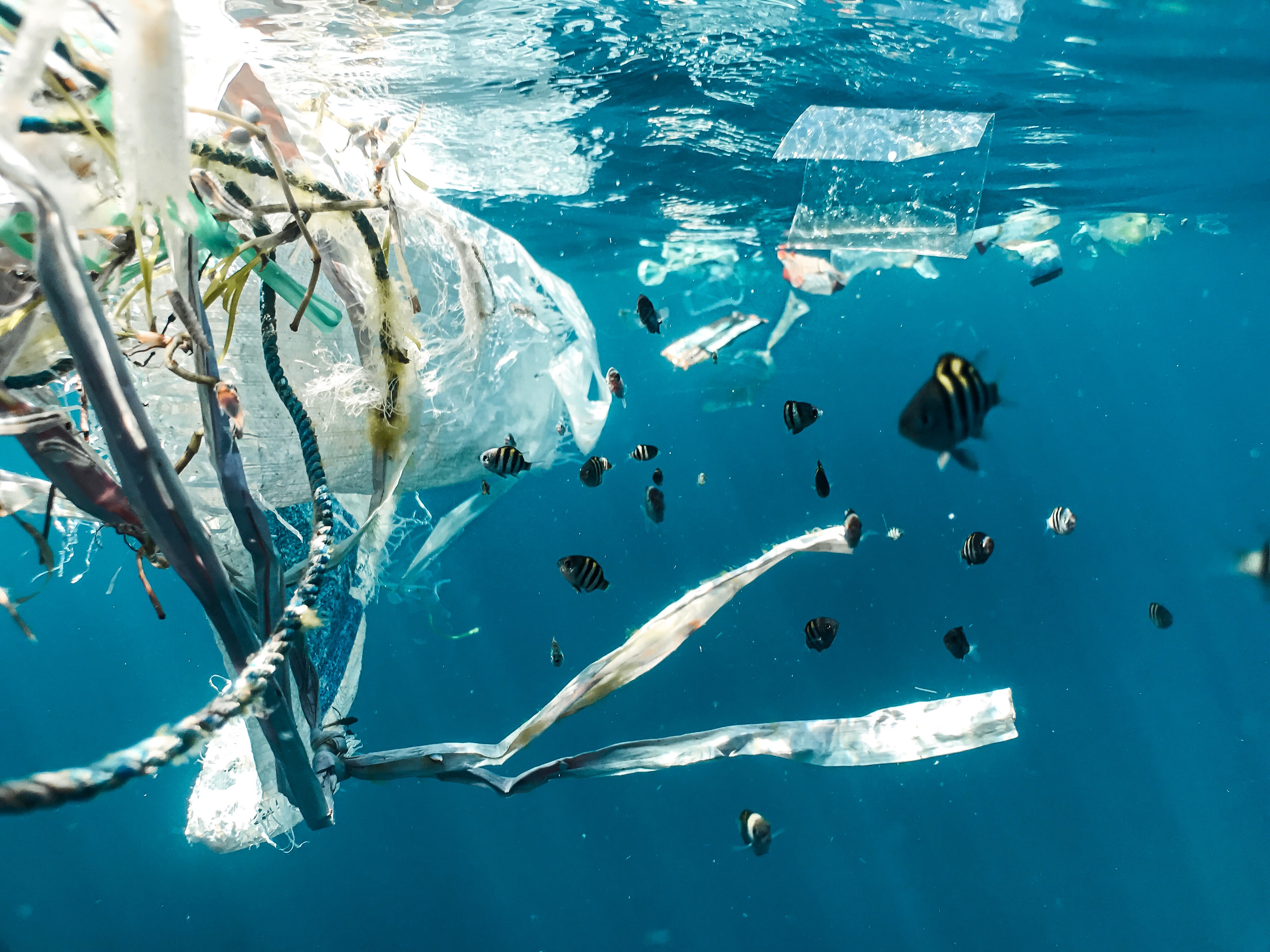 In Indonesië is plasticvervuiling overal, ook in rivieren en in de zee.