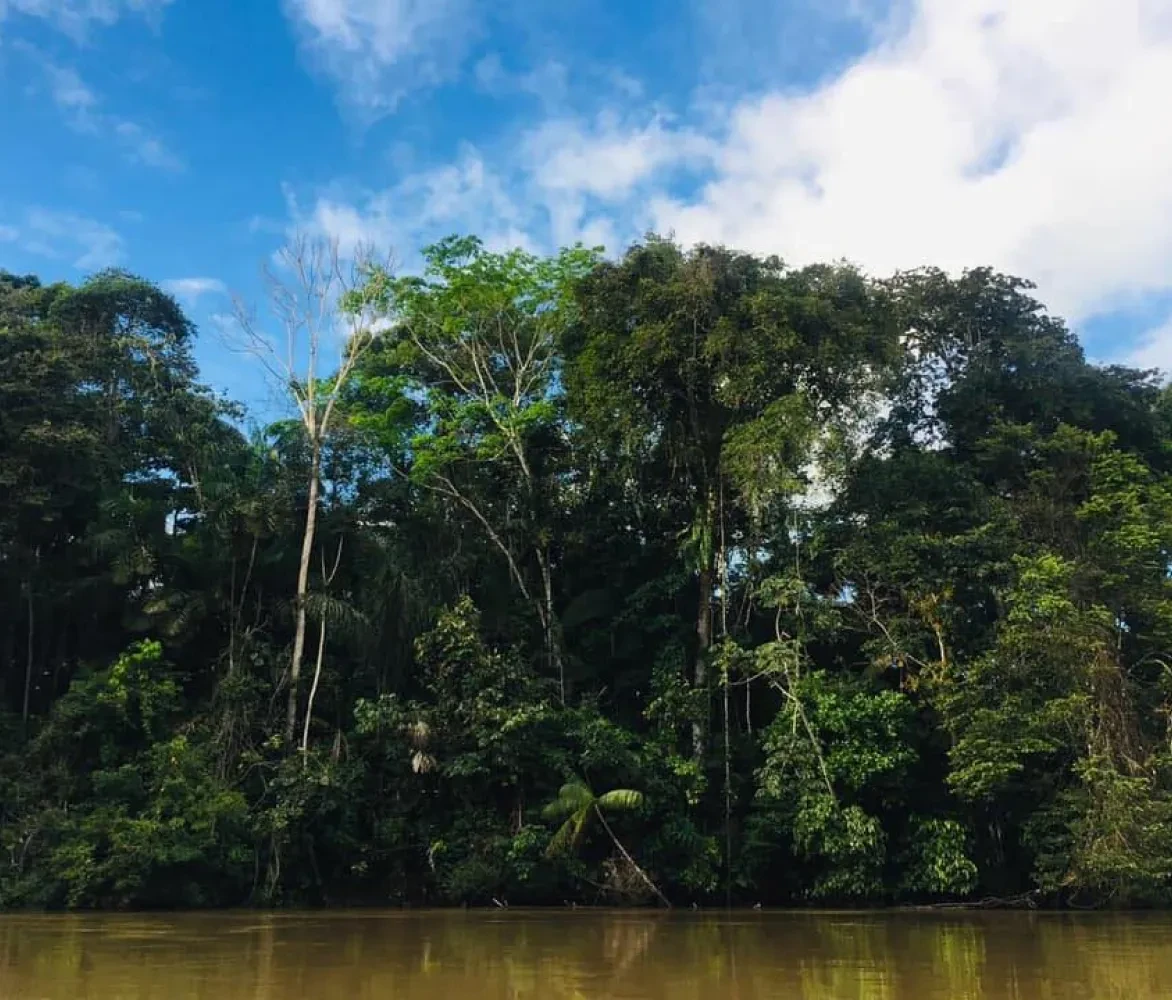 Yasuni National Park, een van de meest biodiverse plekken op aarde