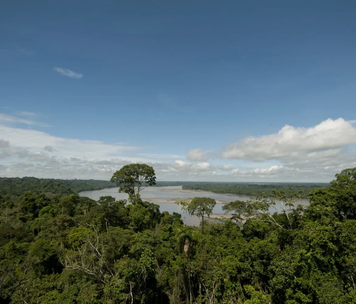 Yasuni National Park Ecuador