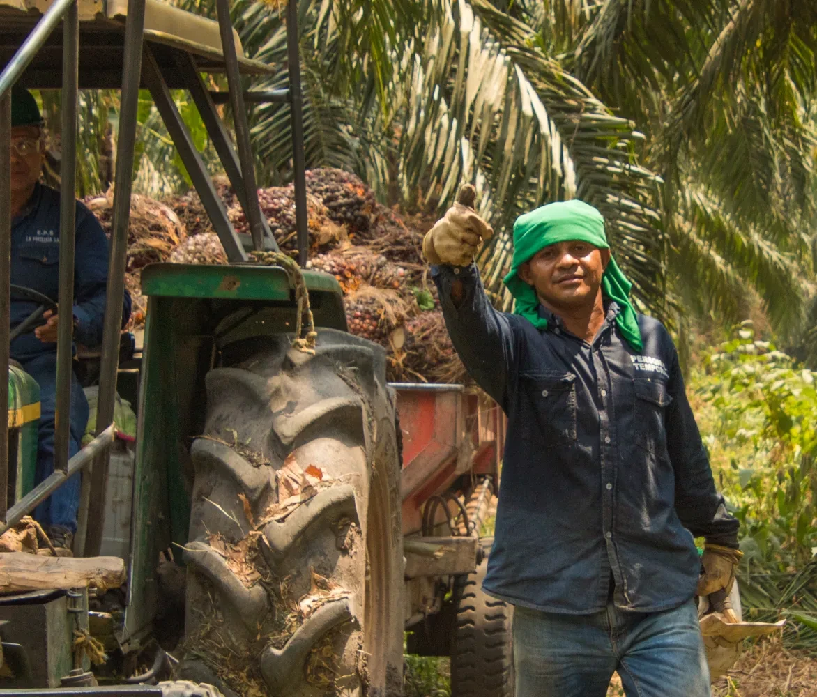 Mannen aan het werk op de palmolieplantage CumaralPalm in Indonesië