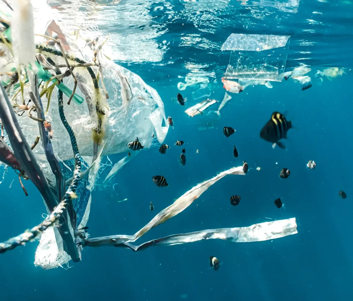 In Indonesië is plasticvervuiling overal, ook in rivieren en in de zee.