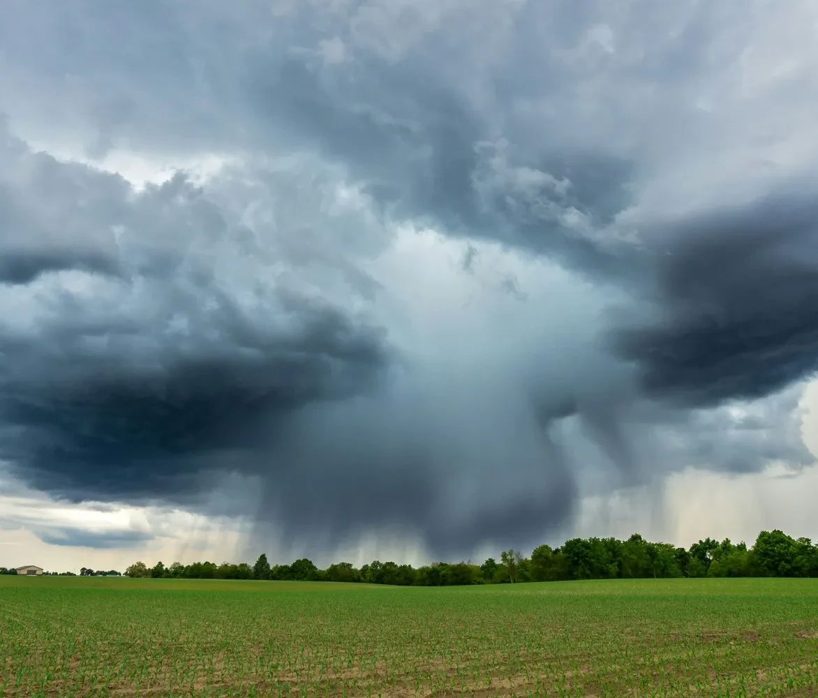 Open brief klimaatbeleid