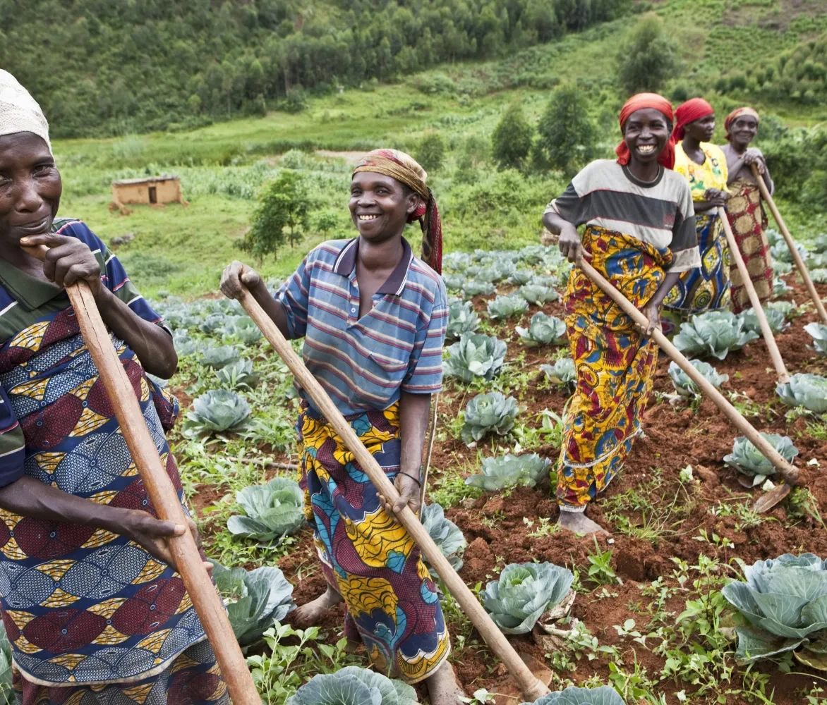 Burundi coöperatieve landbouw Mutumba