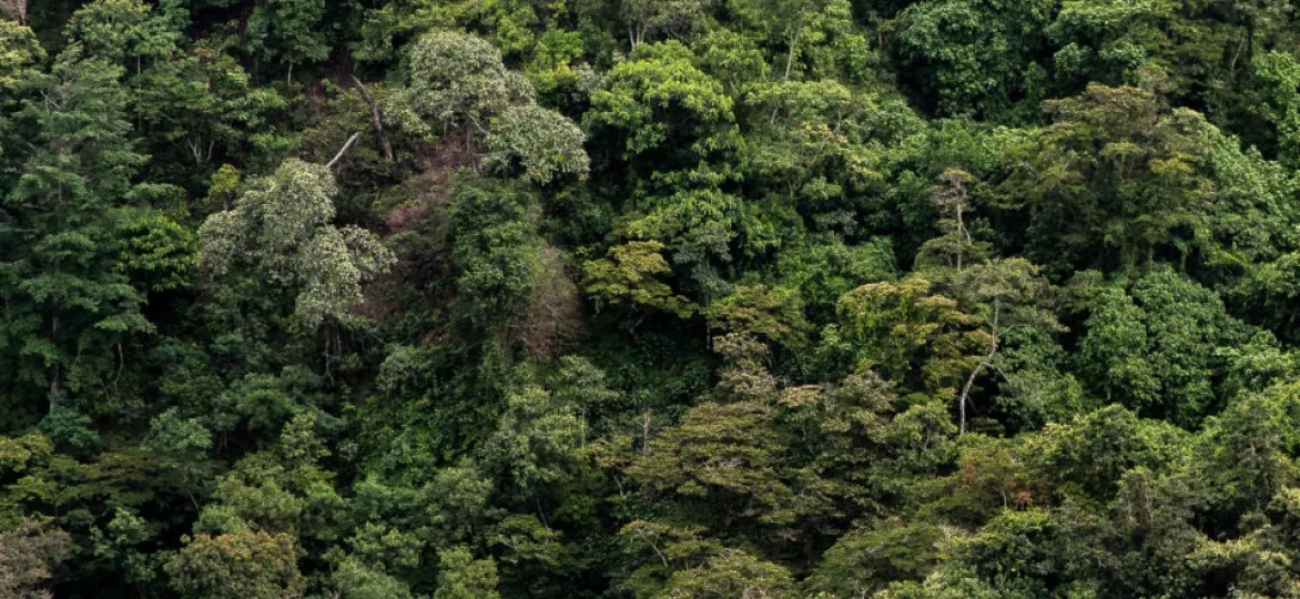 FOS zet deze zomer de schijnwerpers op Colombia