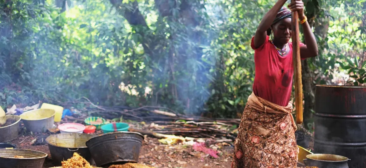 Palmolieplantages gaan vaak gepaard met sociale wantoestanden  © Wikimedia / Uzabiaga