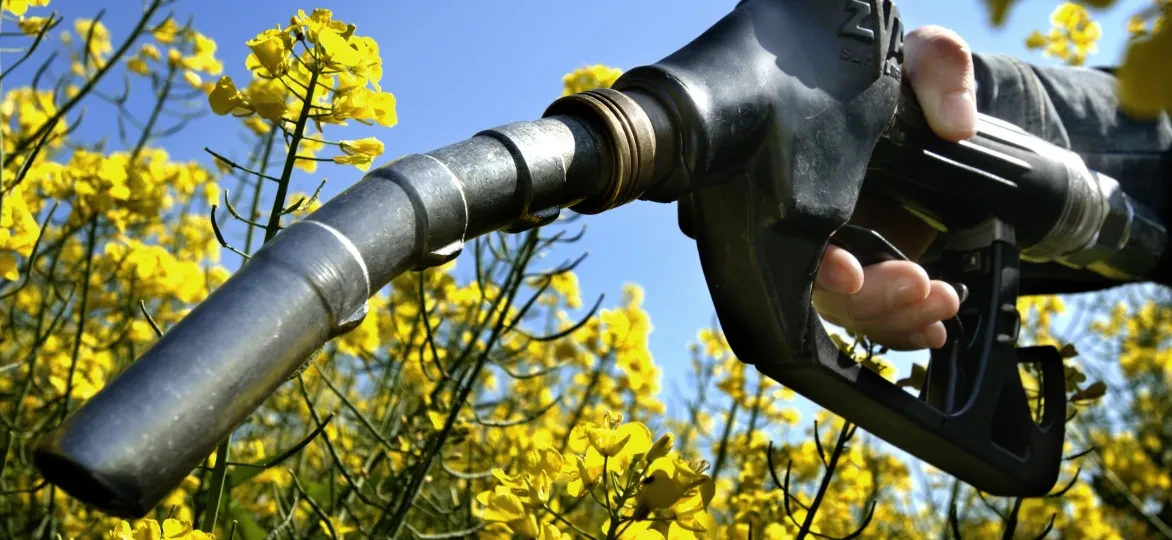 biobrandstof diesel benzine bloemen