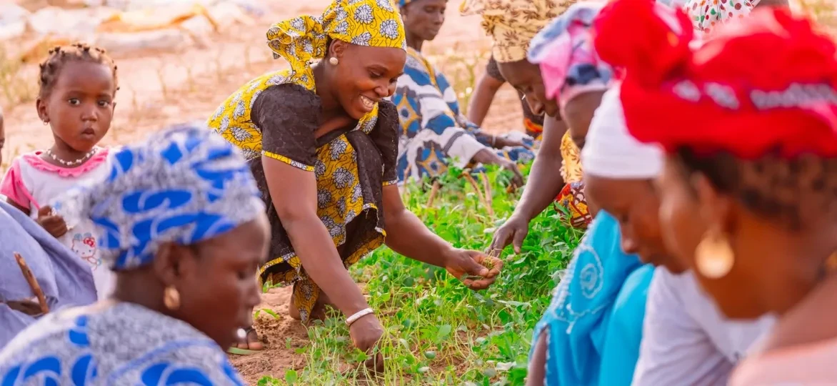 Vrouwen in Senegal aan het werk op het veld
