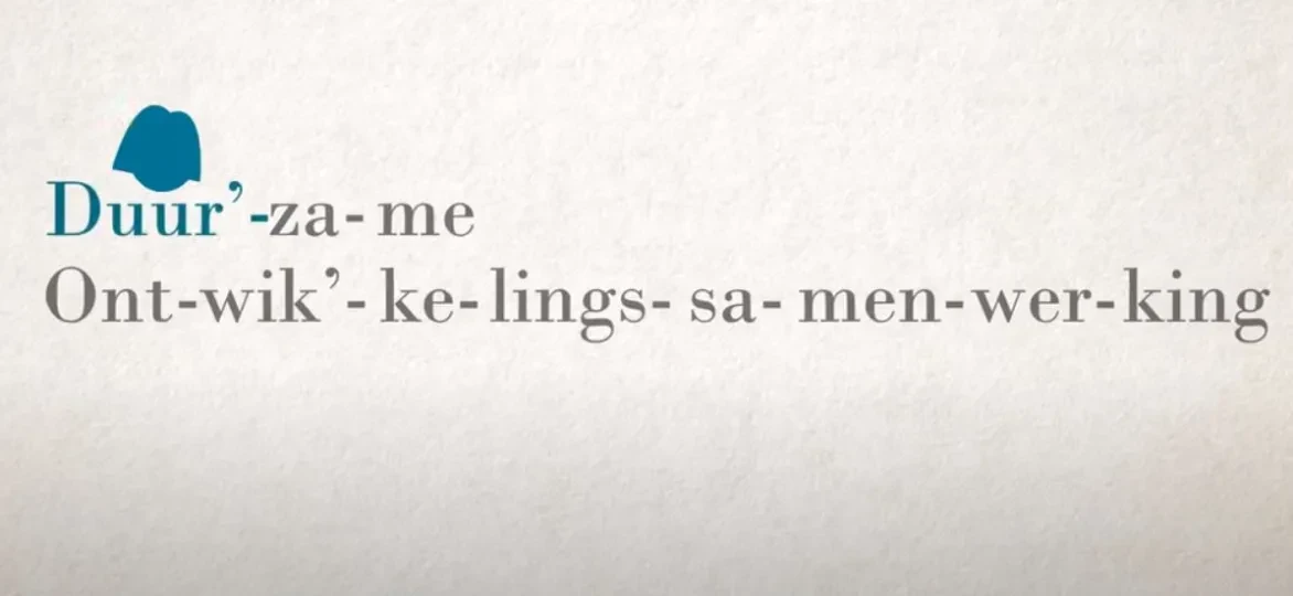 Duurzame ontwikkelingssamenwerking