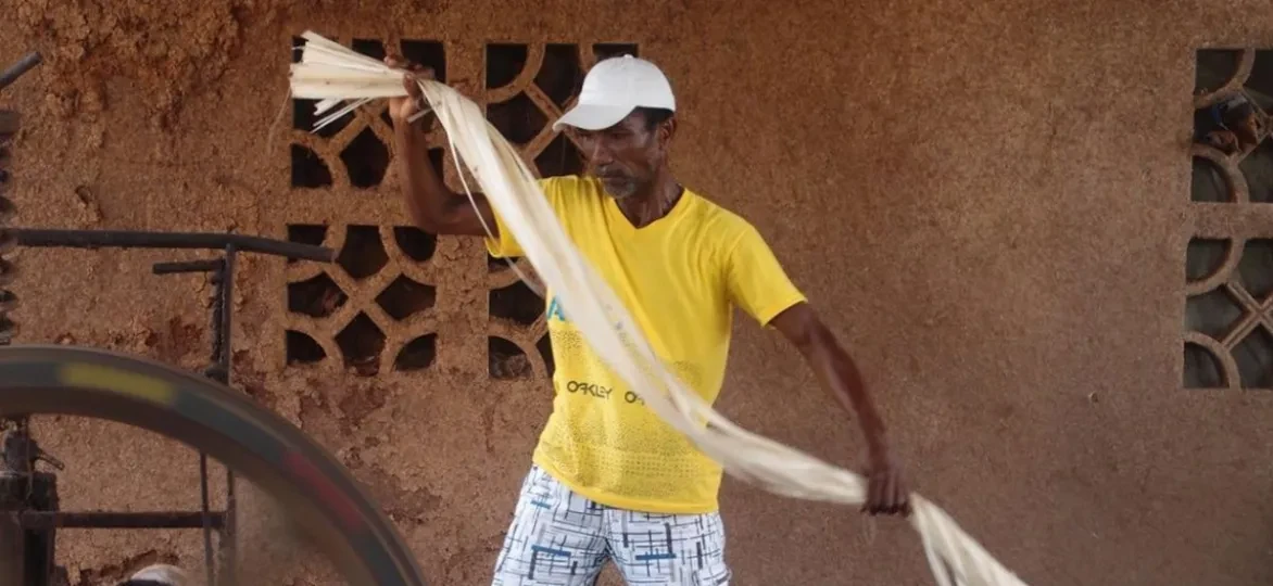 Een arbeider verwerkt abaca