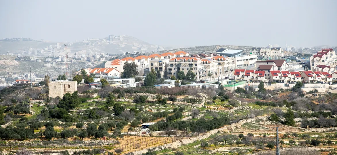 Don't Buy Into Occupation rapport