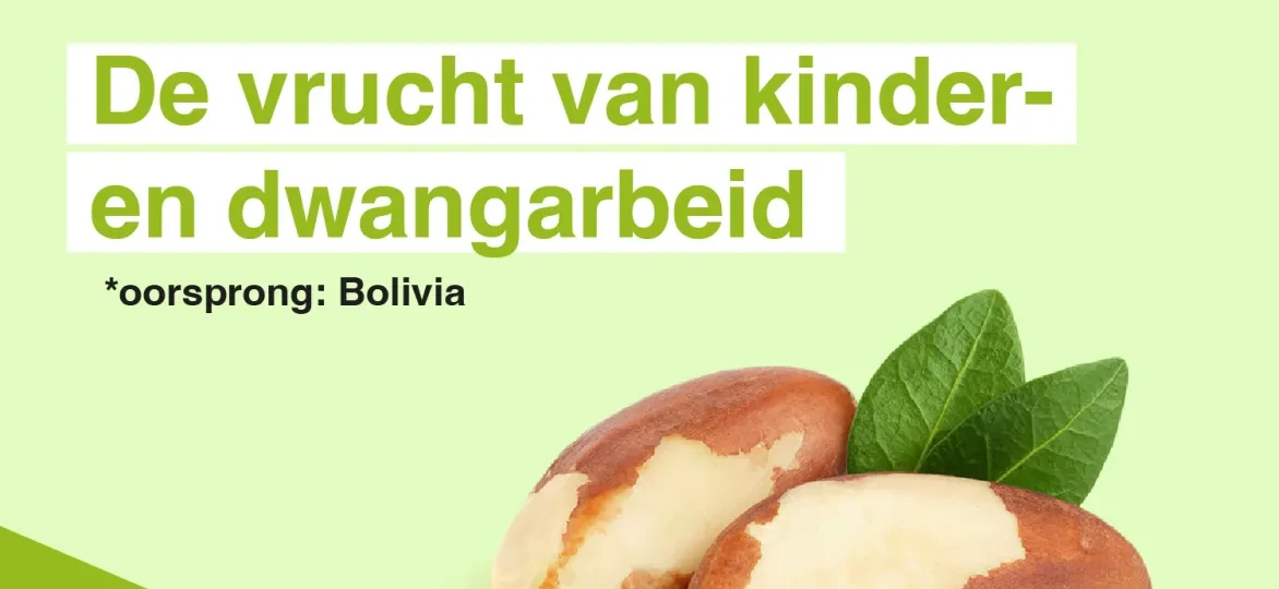 De vrucht van kinder- en dwangarbeid