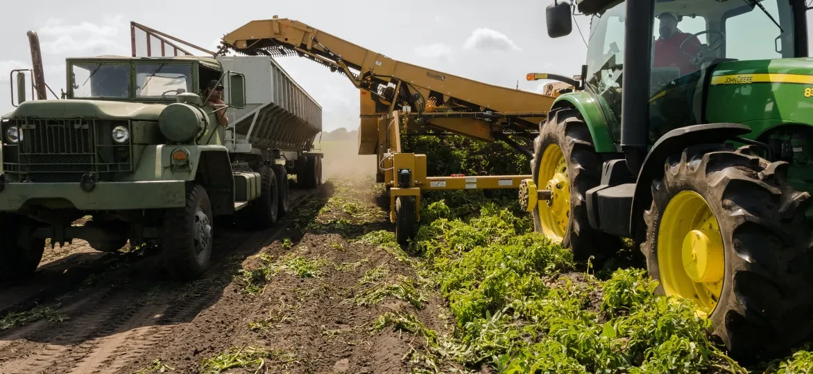 agro-industrie