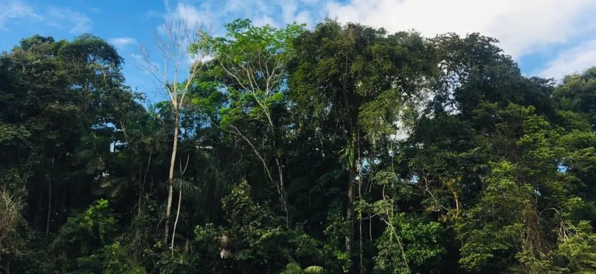 Yasuni National Park, een van de meest biodiverse plekken op aarde