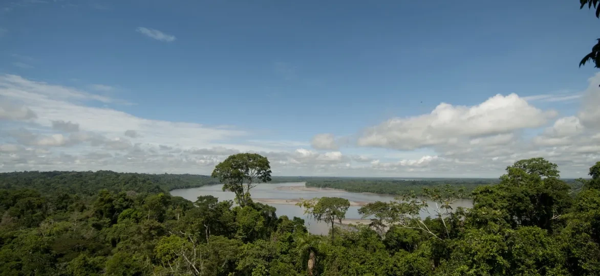 Yasuni National Park Ecuador