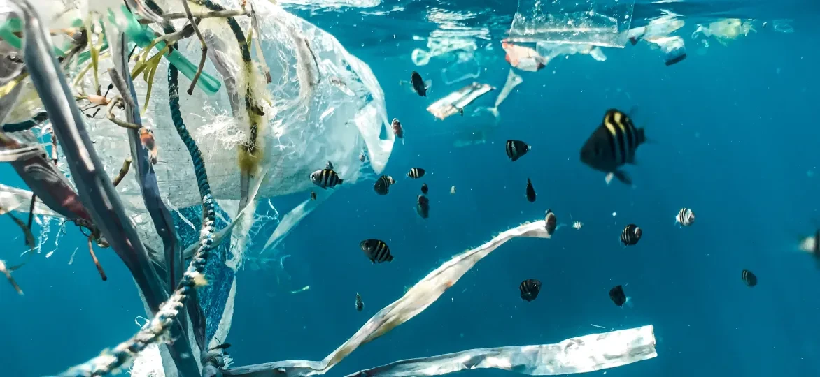 In Indonesië is plasticvervuiling overal, ook in rivieren en in de zee.