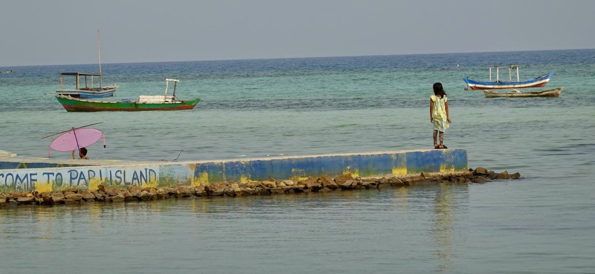 Zicht op de haven van Pari Island