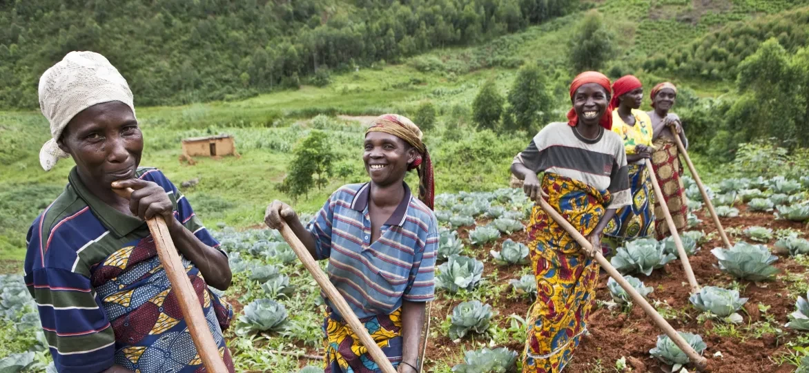 Burundi coöperatieve landbouw Mutumba