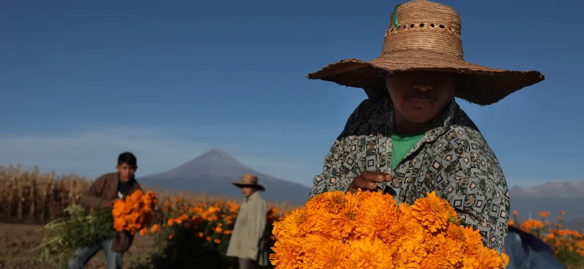 Internationale solidariteit