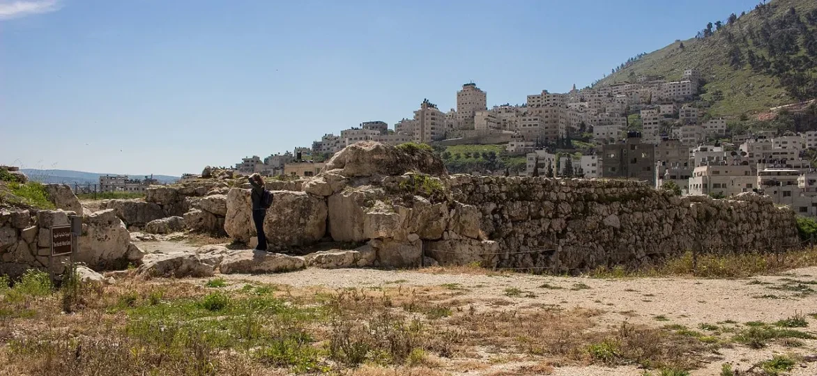 4de Pijler Humasol - Onbegrensde Krachten 2025