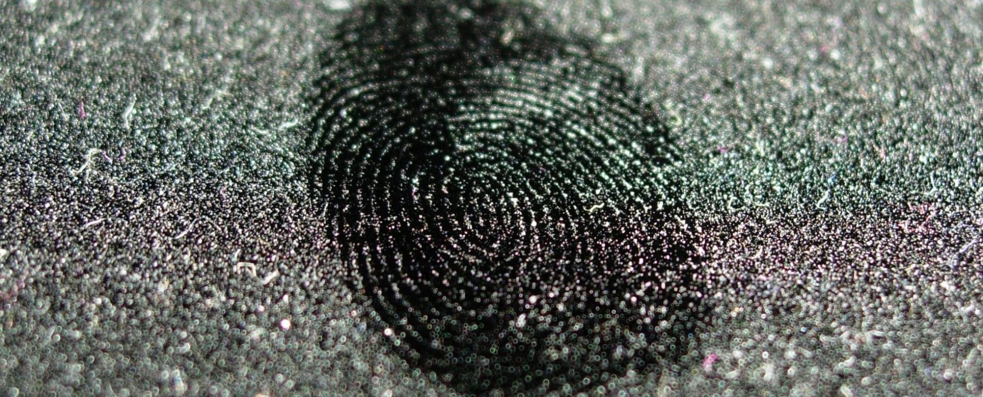 Fingerprint © Suvi Korhonen 