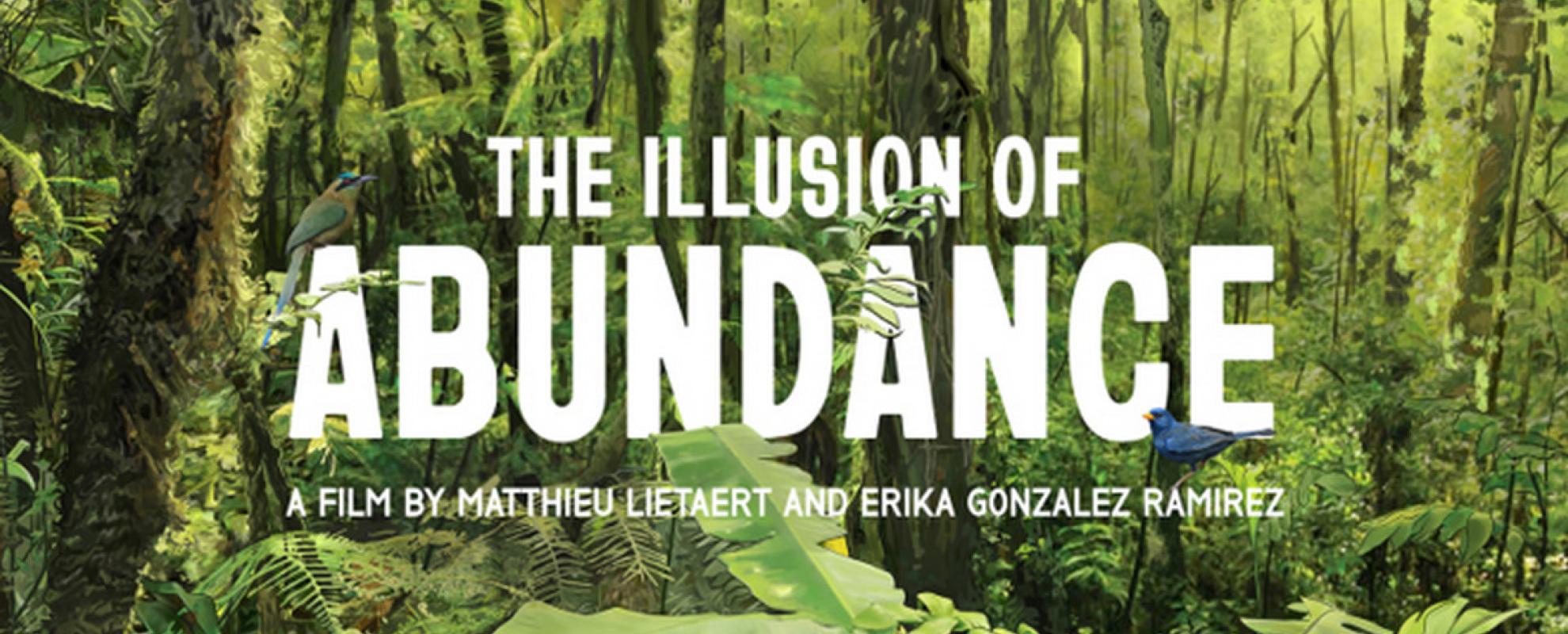 Film poster: The illusion of Abundance