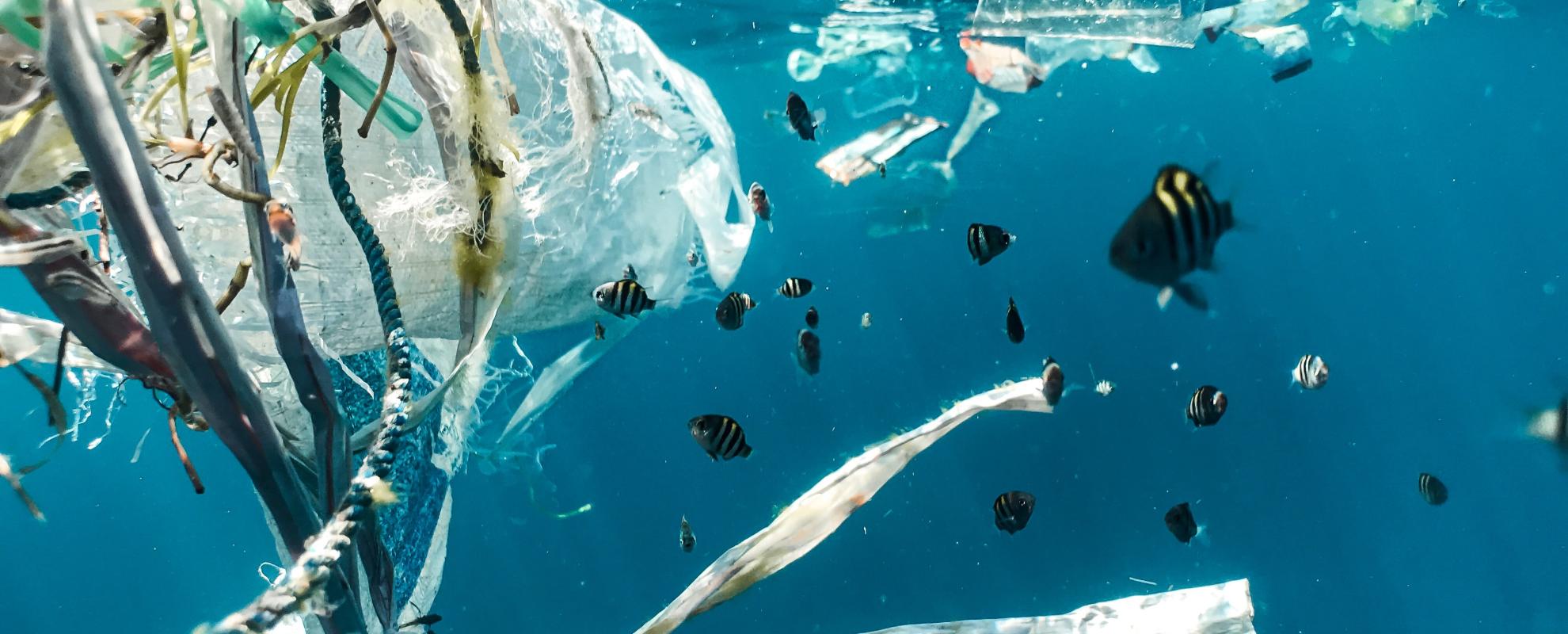 In Indonesië is plasticvervuiling overal, ook in rivieren en in de zee.