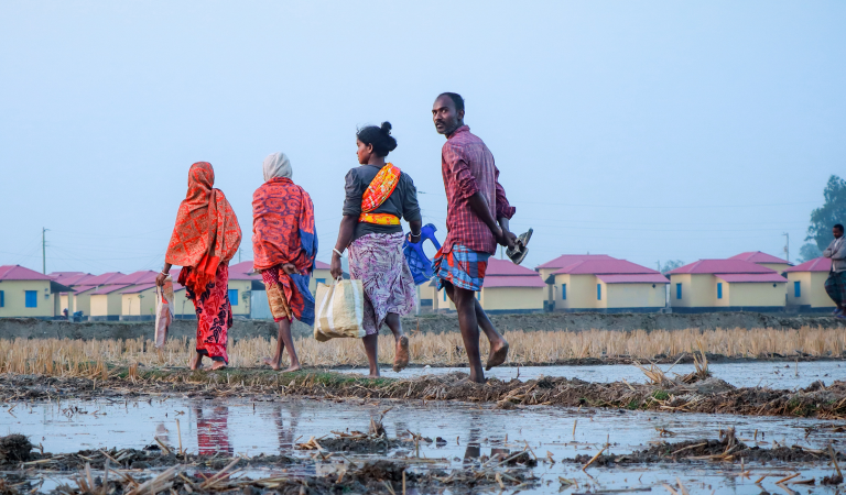 Bangladesh, landbouwers op rijstveld.