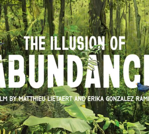 Film poster: The illusion of Abundance