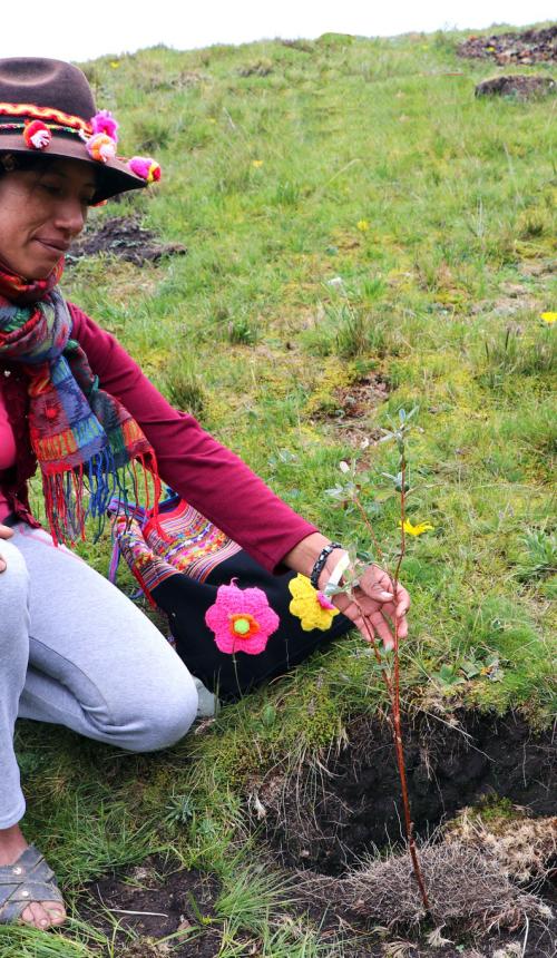 Vrouw uit Peru tijdens een actie voor herstel van vegetatie