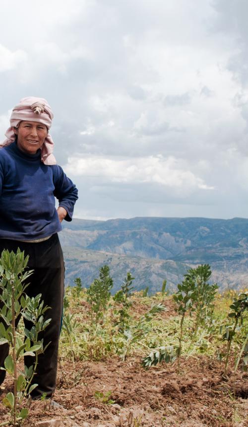 Bolivia landloze boeren