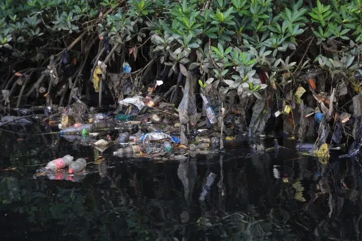 4de Pijler River Cleanup - onbegrensde krachten