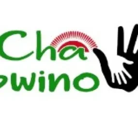 logo Chabwino VZW Malawi