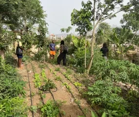 projectbezoek moestuin Achada Lém