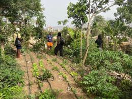 projectbezoek moestuin Achada Lém