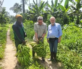 ons landbouwproject in Edzendouan