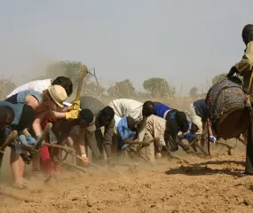 Samen zwoegen om de dorpstuin in Niger aan te leggen