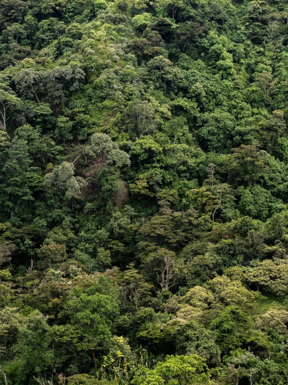 FOS zet deze zomer de schijnwerpers op Colombia