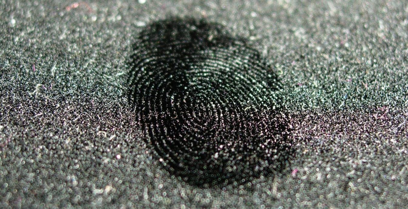 Fingerprint © Suvi Korhonen 