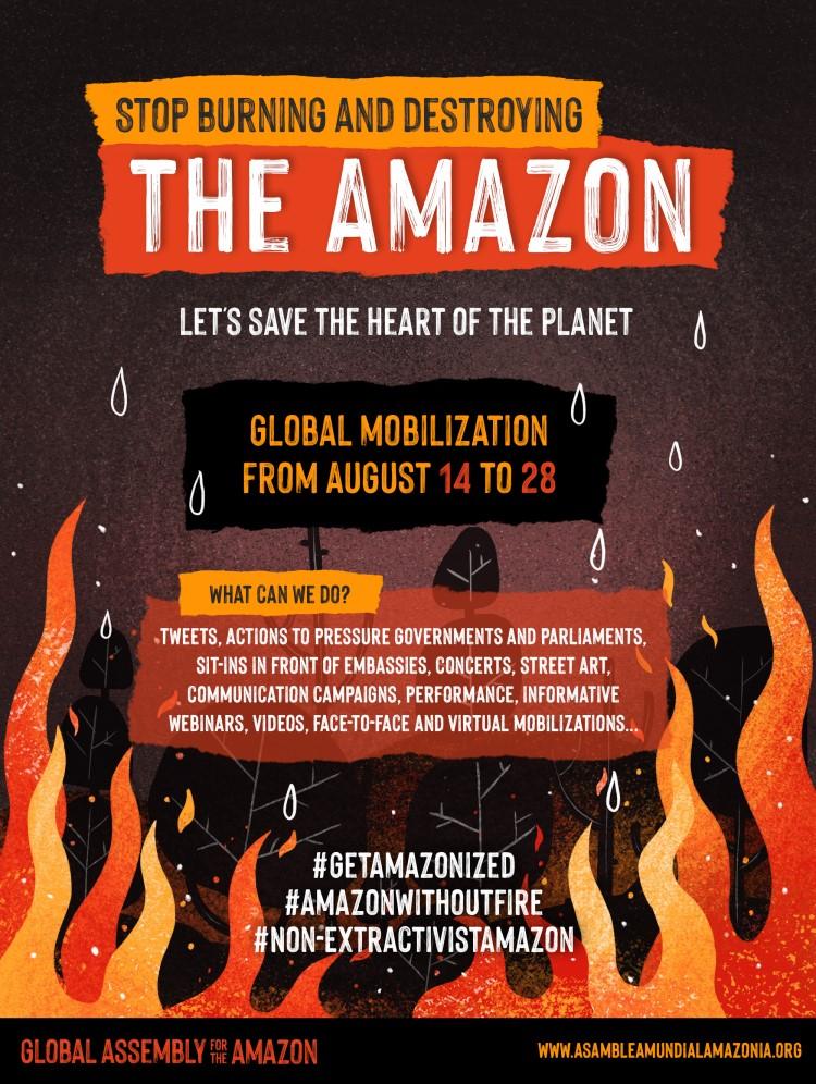 Stop burning and destroying the amazon