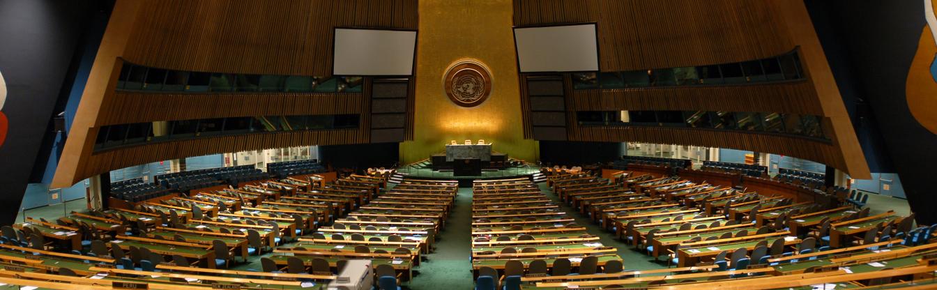 VN algemene vergadering