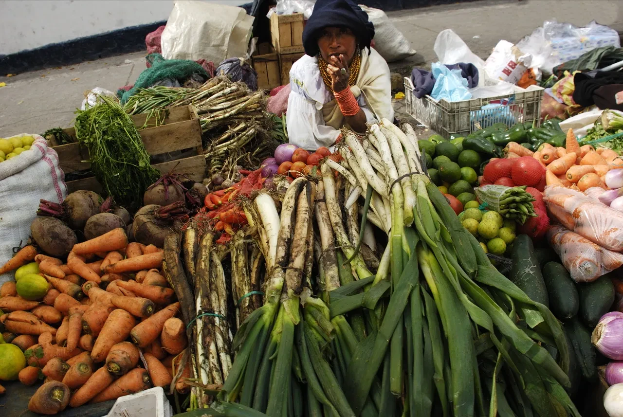 ecuador-agroindustrie-flickr-Josh Kellogg