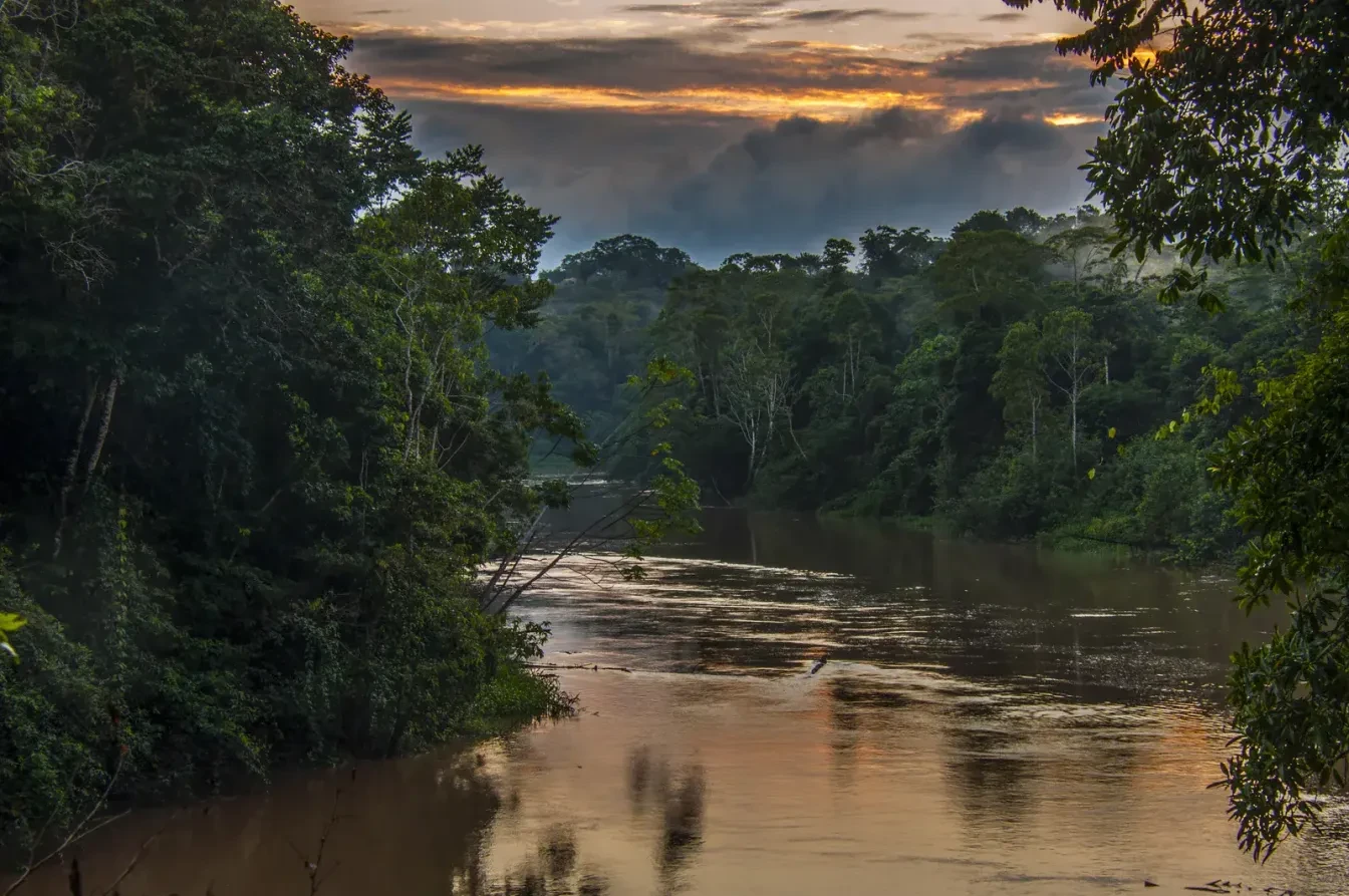 Yasuni National Park, een van de meest biodiverse plekken op aarde