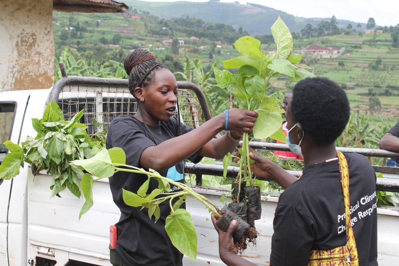Asiimwe wil 10 miljoen bomen planten tegen de klimaatcrisis