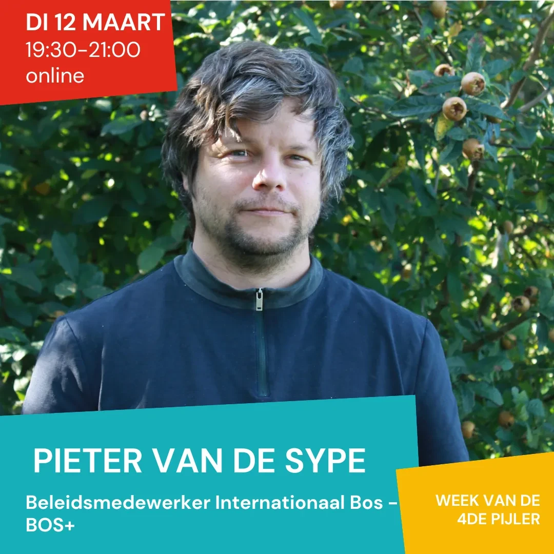 Banner online sessie 12 maart 4de Pijler