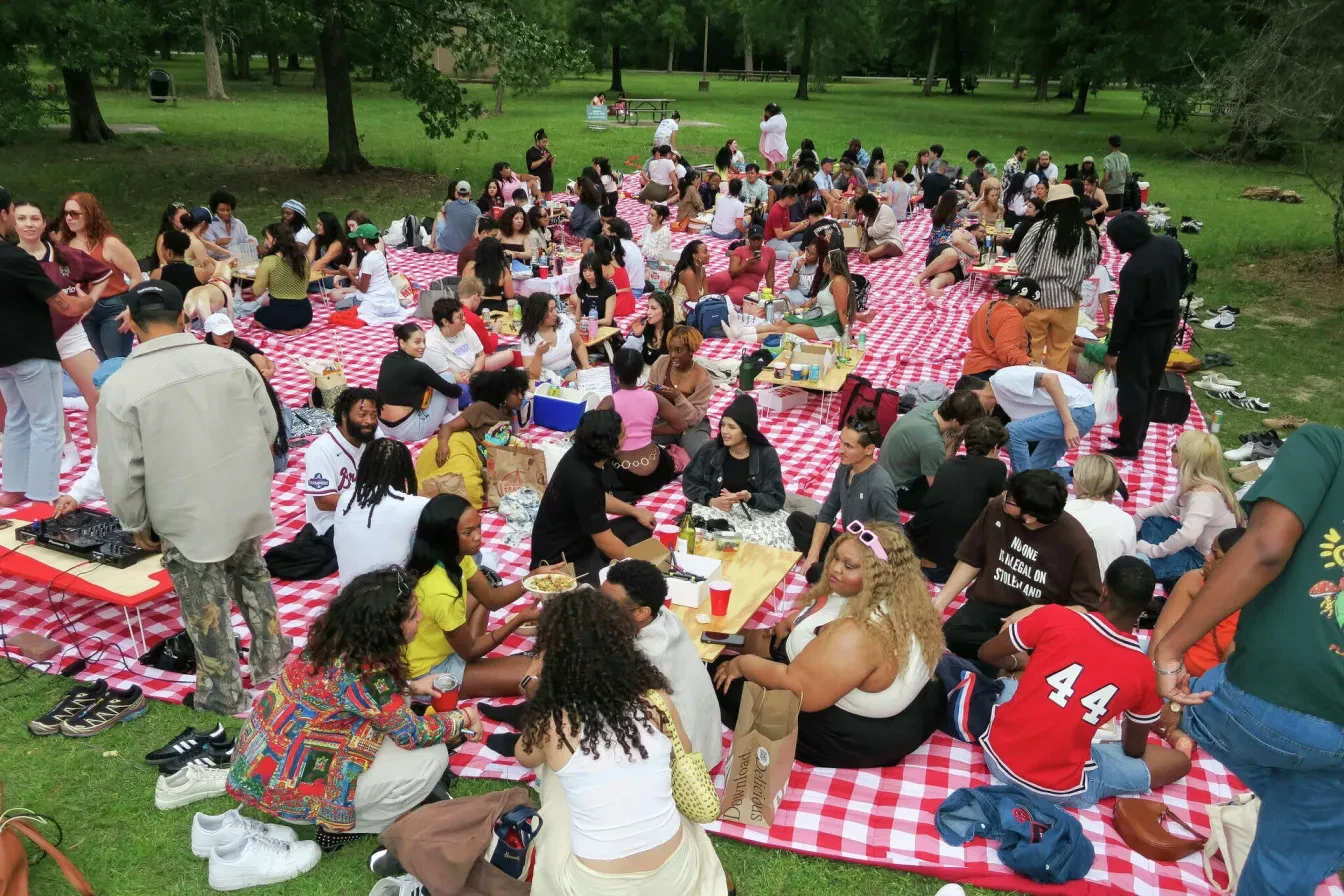 picknick reclaim