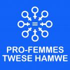 Logo Pro-Femmes Rwanda
