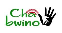 logo Chabwino VZW Malawi