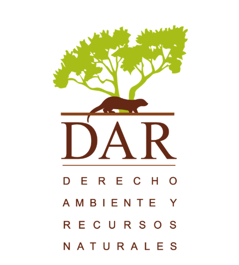 Logo DAR ONG Peru